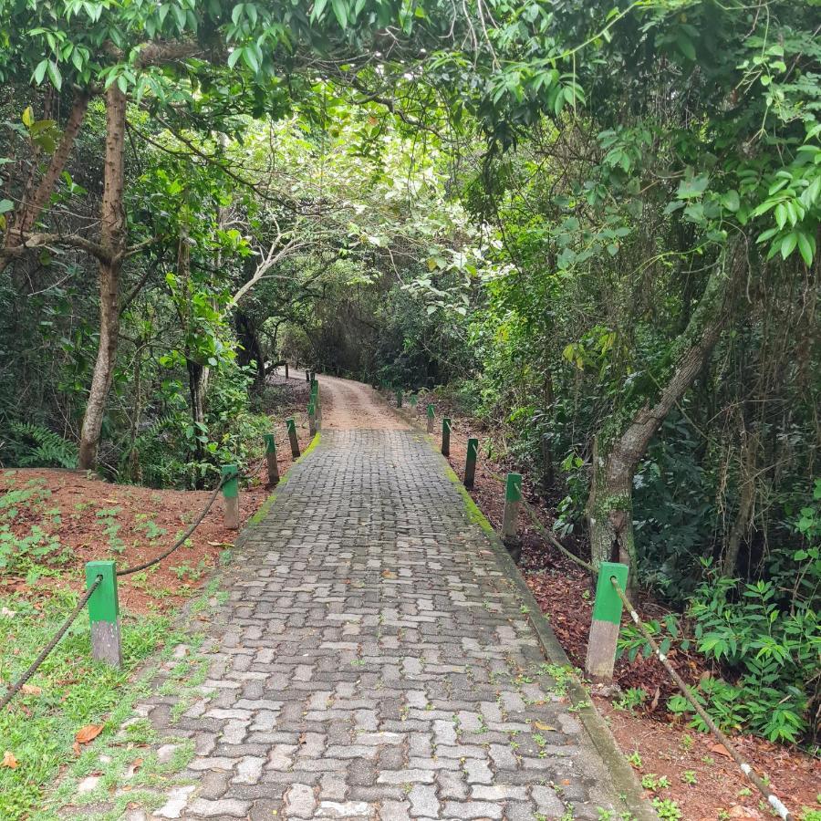 Suite Ampla No Melhor Da Barra Da Tijuca Rio de Janeiro Exteriör bild